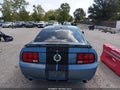 2006 Ford Mustang — photo 16 of 17 | VIN 1ZVHT82H065151294