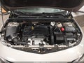 2023 Chevrolet Malibu — photo 10 of 16 | VIN 1G1ZD5ST1PF241839