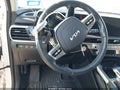 2025 Kia Telluride — photo 11 of 11 | VIN 5XYP64GC4SG591791