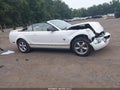2009 Ford Mustang — photo 13 of 16 | VIN 1ZVHT84N995110167