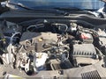 2024 Honda HR-V — photo 10 of 16 | VIN 3CZRZ1H7XRM747081