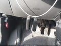 2015 Fiat 500 — photo 11 of 16 | VIN 3C3CFFAR1FT504052