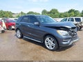 2013 Mercedes-Benz ML-Class — photo 1 of 17 | VIN 4JGDA5HBXDA209873