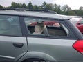 2009 Subaru Outback — photo 13 of 14 | VIN 4S4BP60C797320269