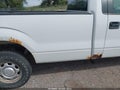 2014 Ford F-150 Lightning — photo 12 of 12 | VIN 1FTMF1EM6EKF95532
