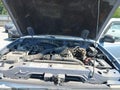1998 Ford Ranger — photo 10 of 15 | VIN 1FTYR10C3WTA73900