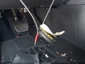 2021 Nissan Sentra — photo 11 of 18 | VIN 3N1AB8BV9MY266766