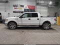2010 Ford F-150 — photo 14 of 19 | VIN 1FTFW1EV4AFD25476