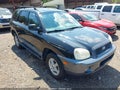 2003 Hyundai Santa Fe — photo 1 of 11 | VIN KM8SC13DX3U550528