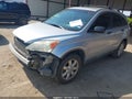 2009 Honda CR-V — photo 2 of 16 | VIN 5J6RE38599L029383
