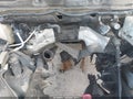 2005 Dodge Ram 2500 — photo 10 of 15 | VIN 3D7KS28C85G784952