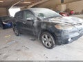 2007 Acura RDX — photo 1 of 11 | VIN 5J8TB18507A018663