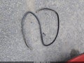 2022 Dodge Charger — photo 12 of 17 | VIN 2C3CDXBG1NH201157