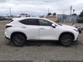 2025 Lexus NX 350h — photo 13 of 18 | VIN JTJGKCEZ3S2043821
