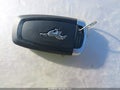 2025 Ford Mustang — photo 11 of 11 | VIN 1FA6P8R07S5500594