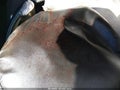 2013 Nissan Altima — photo 17 of 17 | VIN 1N4AL3AP8DN566897