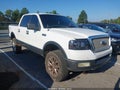 2004 Ford F-150 — photo 1 of 10 | VIN 1FTPW14524KC42243