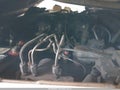 2001 Ford Ranger — photo 10 of 15 | VIN 1FTYR14E01TA43919