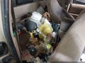2001 Ford Ranger — photo 8 of 15 | VIN 1FTYR14E01TA43919