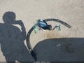 2016 Mazda CX-5 — photo 12 of 19 | VIN JM3KE2DY8G0651996