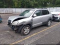 2007 Hyundai Tucson — photo 2 of 17 | VIN KM8JN12D17U582247