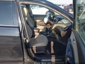 2017 Hyundai Santa Fe — photo 5 of 18 | VIN 5XYZUDLB3HG457486