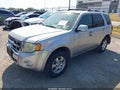 2010 Ford Escape — photo 2 of 12 | VIN 1FMCU0E77AKD45177