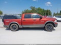 2009 Dodge Ram 1500 — photo 14 of 17 | VIN 1D3HV13P59S713245