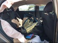 2023 Chevrolet Malibu — photo 8 of 17 | VIN 1G1ZG5ST2PF239640