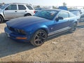 2009 Ford Mustang — photo 2 of 17 | VIN 1ZVHT80N895102759