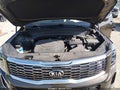 2021 Kia Telluride — photo 10 of 16 | VIN 5XYP6DHC5MG154173