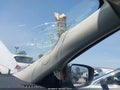 2019 Nissan Rogue — photo 6 of 16 | VIN 5N1AT2MV3KC764810