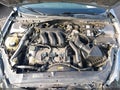 2007 Ford Fusion — photo 10 of 17 | VIN 3FAHP08147R195838
