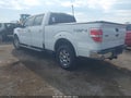 2010 Ford F-150 — photo 3 of 18 | VIN 1FTFW1EV5AFA47879