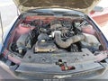 2005 Ford Mustang — photo 10 of 13 | VIN 1ZVFT84NX55213597