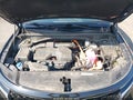 2022 Kia Sorento Hybrid — photo 10 of 19 | VIN KNDRHDLG6N5120993
