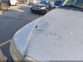 2003 Dodge Dakota — photo 12 of 12 | VIN 1D7HG32X13S235578