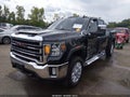 2020 GMC Sierra — photo 2 of 15 | VIN 1GT49NE79LF316413