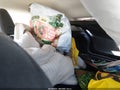 2026 Chevrolet Trax — photo 8 of 11 | VIN KL77LHEP0TC079079