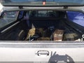 2000 GMC Sierra 1500 — photo 12 of 13 | VIN 2GTEC19T3Y1134906