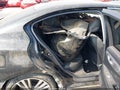2018 Infiniti Q50 — photo 8 of 15 | VIN JN1EV7AP4JM351678