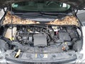 2013 Ford Escape — photo 10 of 16 | VIN 1FMCU9H95DUB19794