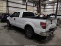 2013 Ford F-150 — photo 3 of 17 | VIN 1FTEX1CM8DKF33066