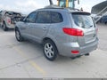 2007 Hyundai Santa Fe — photo 3 of 16 | VIN 5NMSH13E17H011341