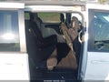 2013 Dodge Grand Caravan — photo 8 of 16 | VIN 2C4RDGCG1DR549568