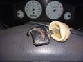 1999 Nissan Pathfinder — photo 11 of 16 | VIN JN8AR07S0XW360723