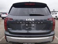 2024 Kia Telluride — photo 15 of 16 | VIN 5XYP24GC5RG428976