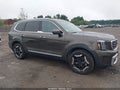 2025 Kia Telluride — photo 13 of 16 | VIN 5XYP6DGC3SG665248