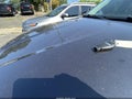 2012 Jeep Grand Cherokee — photo 11 of 11 | VIN 1C4RJFAG0CC34280
