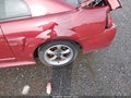 2003 Ford Mustang — photo 6 of 16 | VIN 1FAFP42X13F339882